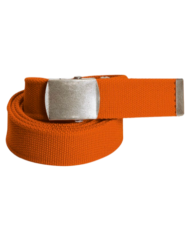 Cinturón (BROOKLIN))