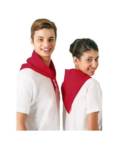 Pañuelo triangular.(GALA)