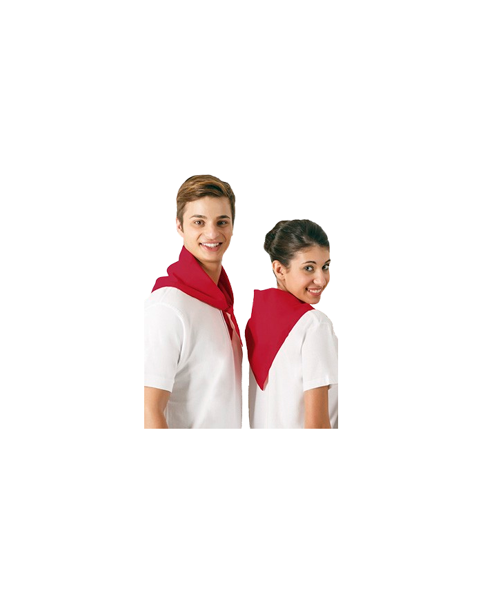 Pañuelo triangular.(GALA)