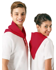 Pañuelo triangular.(GALA)