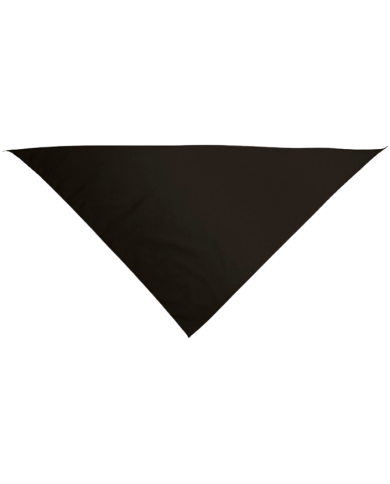 Pañuelo triangular.(GALA)