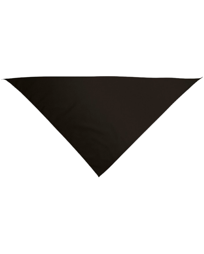 Pañuelo triangular.(GALA)