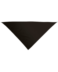 Pañuelo triangular.(GALA)