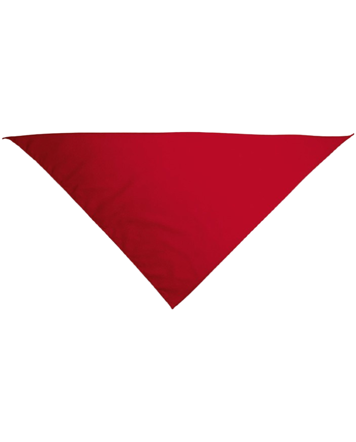 Pañuelo triangular.(GALA)