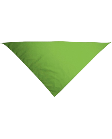 Pañuelo triangular.(GALA)