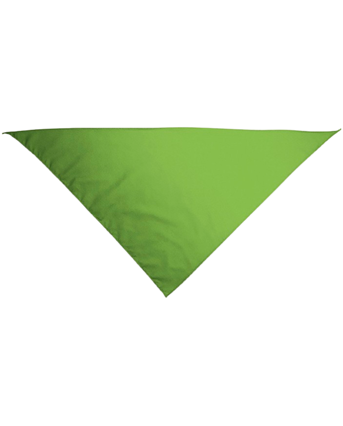 Pañuelo triangular.(GALA)