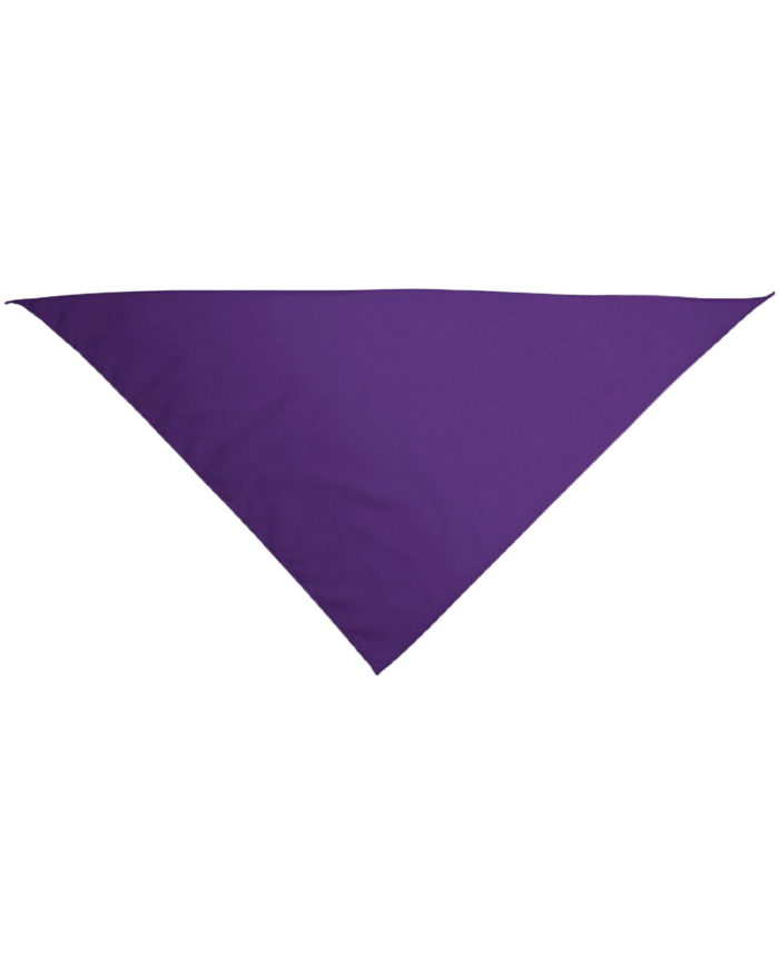 Pañuelo triangular.(GALA)