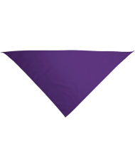 Pañuelo triangular.(GALA)