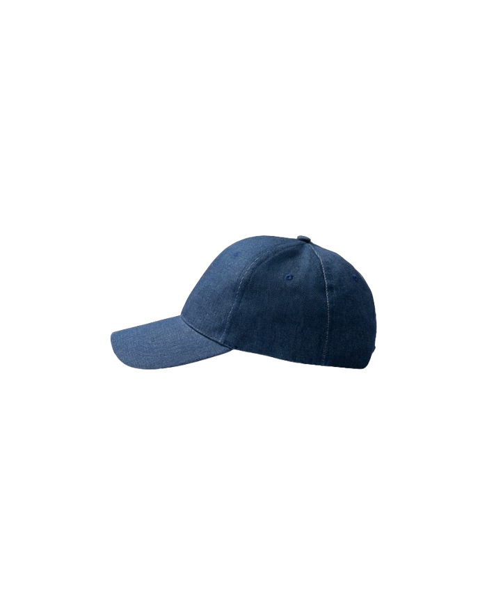 Gorra ISBUD
