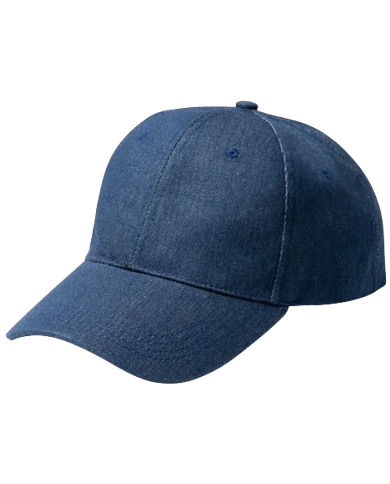Gorra ISBUD