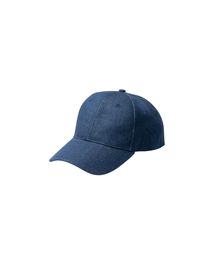 Gorra ISBUD